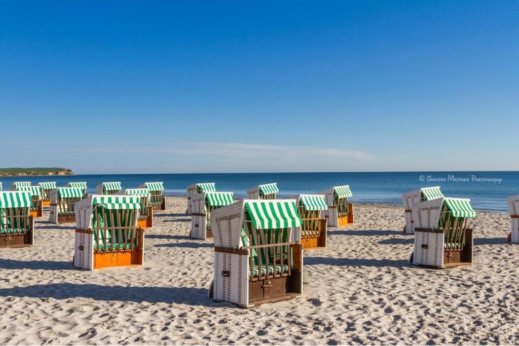 Ferienwohnung Seestern Fuer 6 Personen Mit Kamin & Terrasse Boltenhagen  Εξωτερικό φωτογραφία